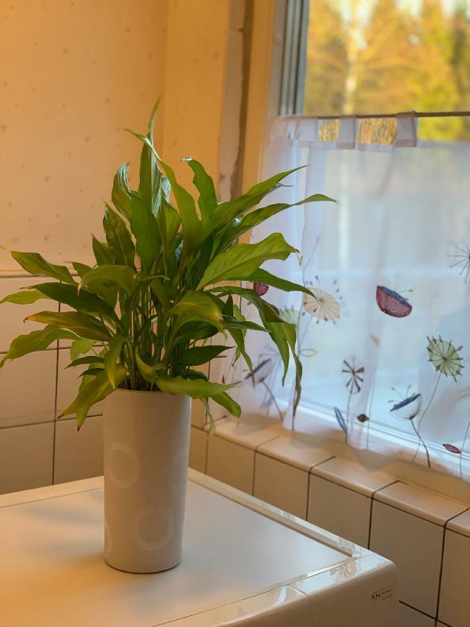 Cozy House In Kosta Center Surrounding With Swedish Nature 외부 사진