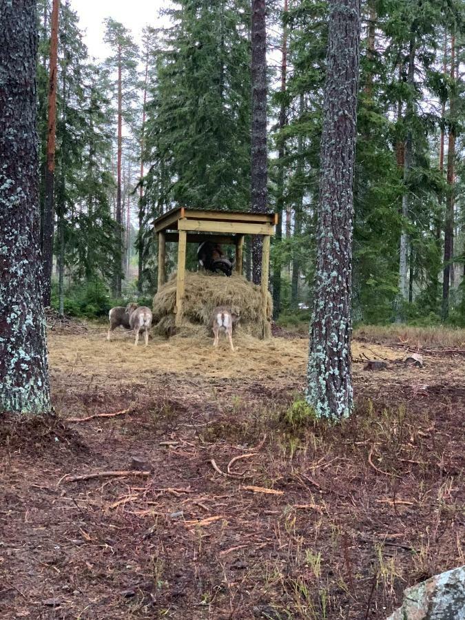 Cozy House In Kosta Center Surrounding With Swedish Nature 외부 사진